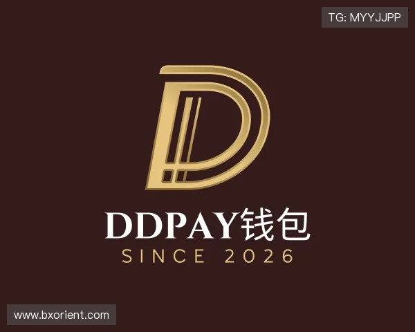 了解DDpay钱包